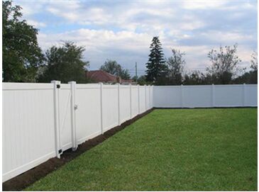 ��ƺ����